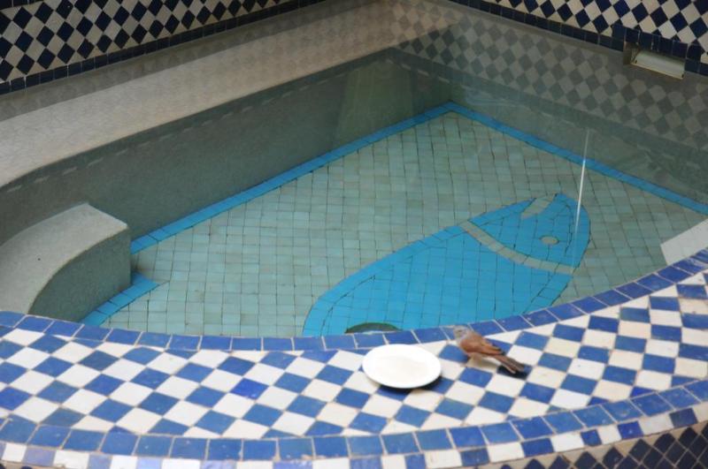 Riad Les Lauriers Blancs - Genel