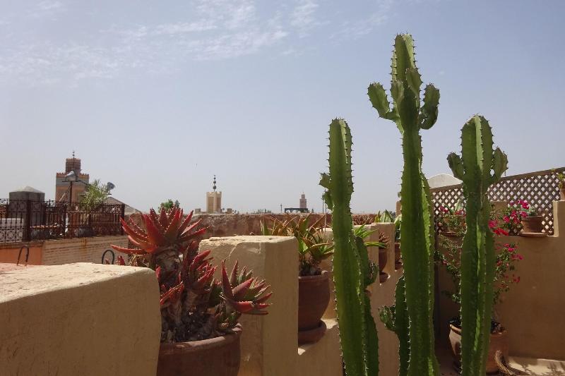 Dar Massai - Teras