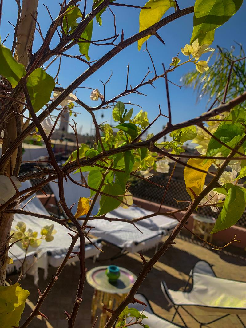 Riad Abaka by Ghali - Teras