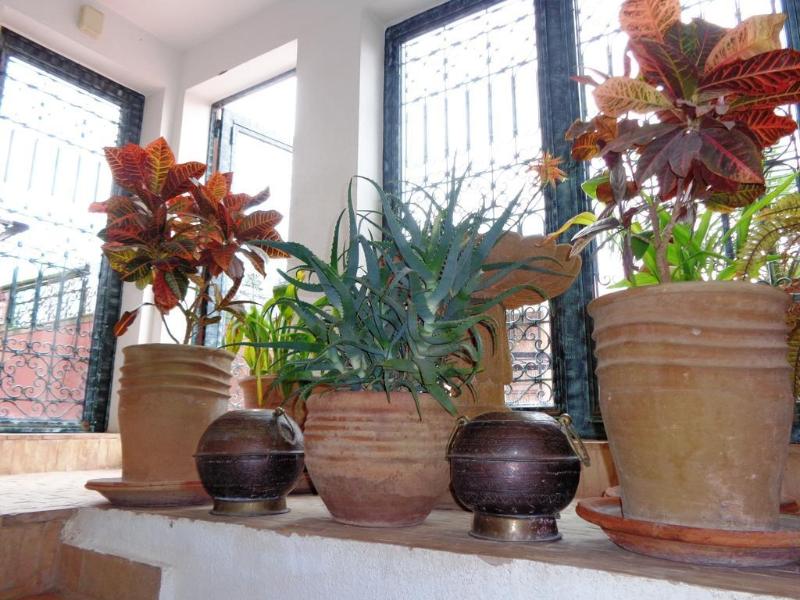 Riad Sesame - Genel