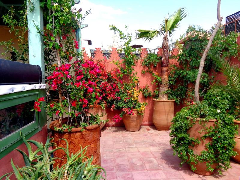 Riad Sesame - Genel