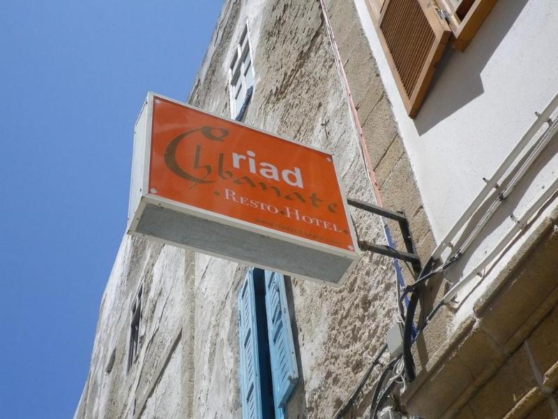 Riad Chbanate - Genel
