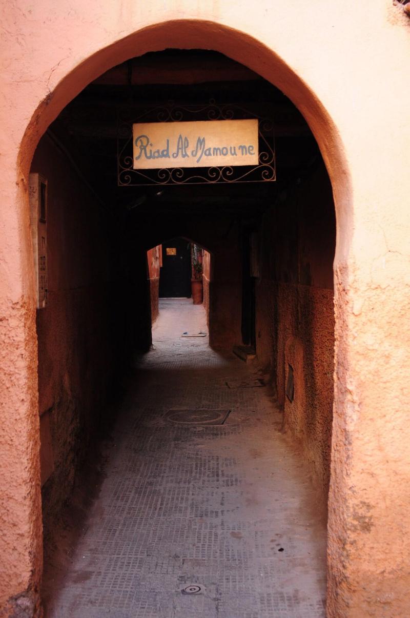 Riad Al Mamoune - Genel