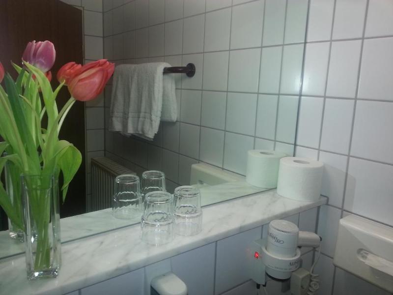 Mercure Hotel Stuttgart Zuffenhausen - Genel
