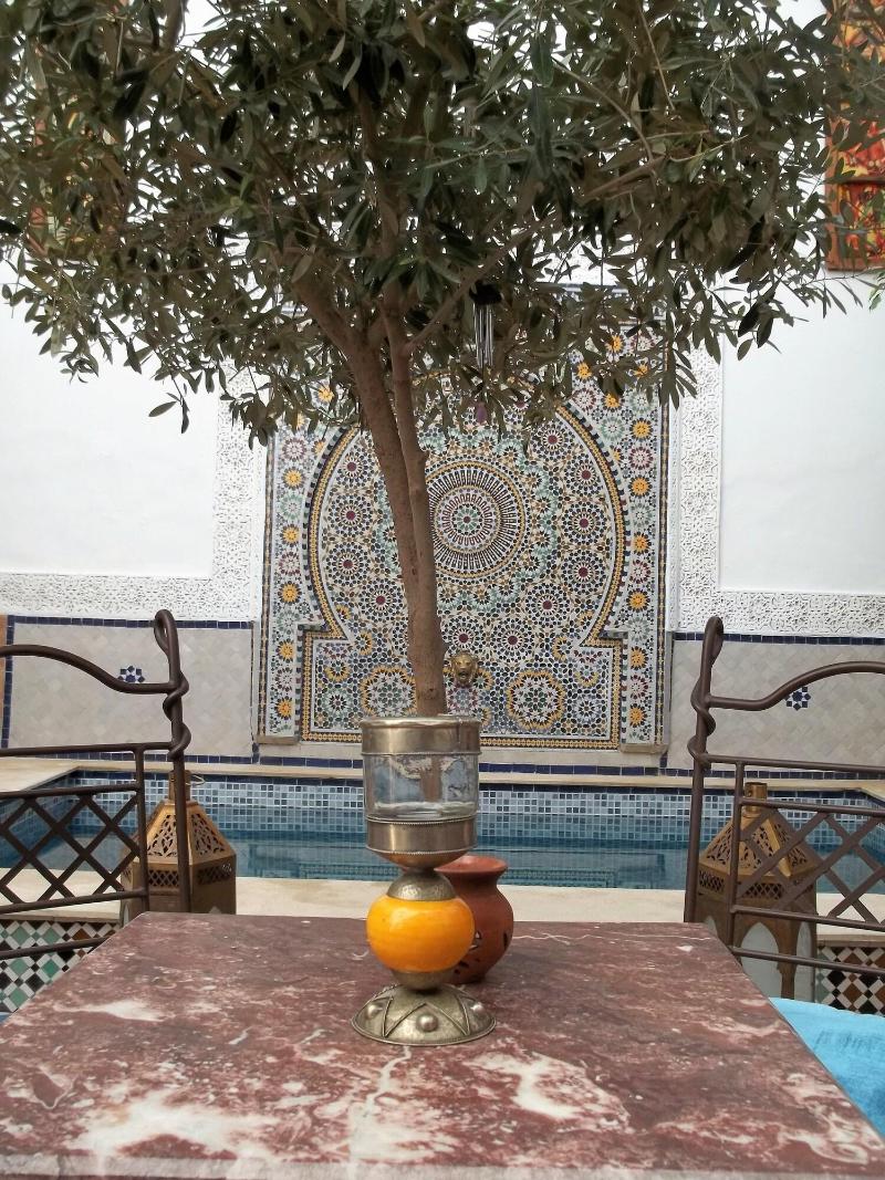 Riad Attarine - Genel