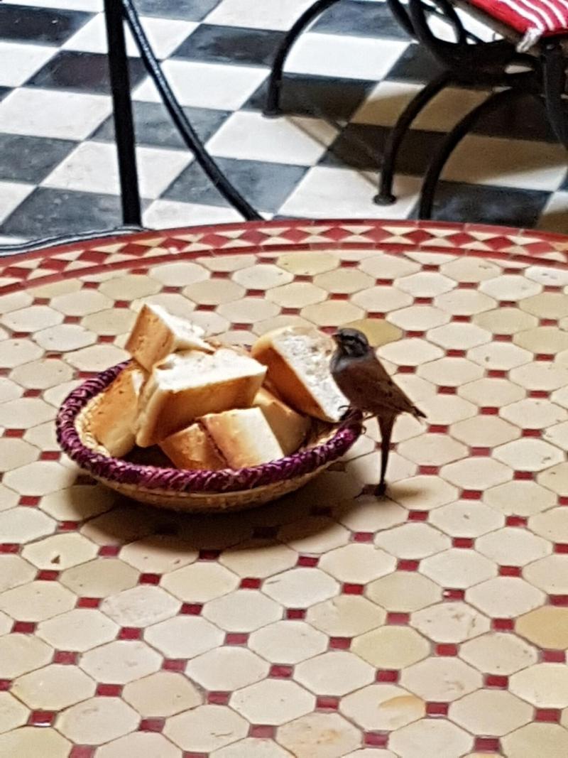 Riad Sidi Magdoul - Genel