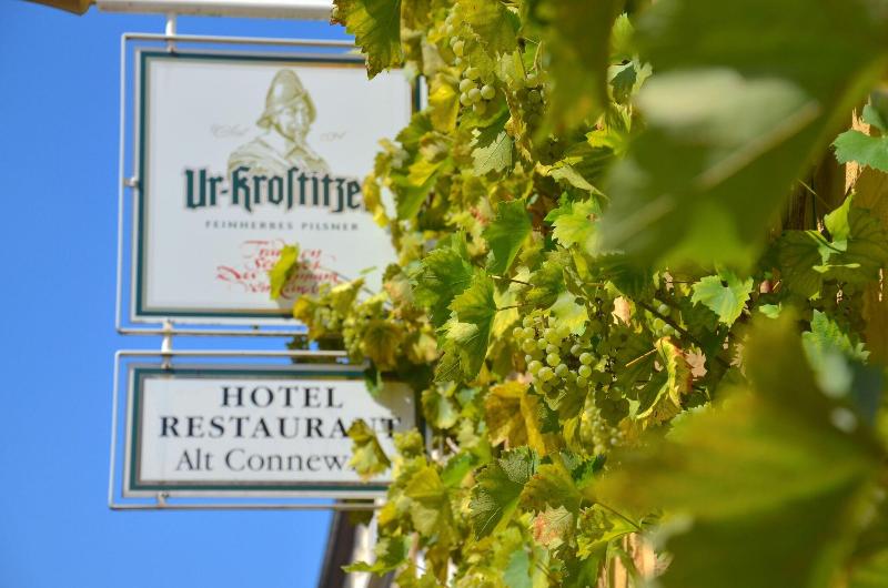 Alt-Connewitz Hotel - Genel