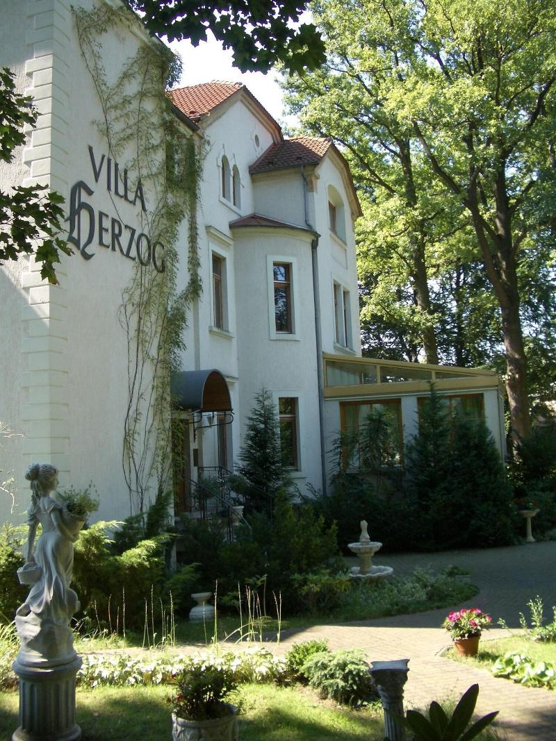 Hotel Villa Herzog - Aktivite