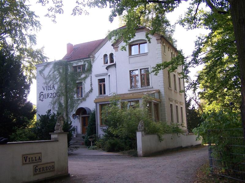Hotel Villa Herzog - Genel