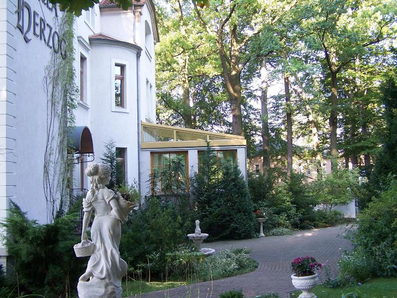 Hotel Villa Herzog - Genel