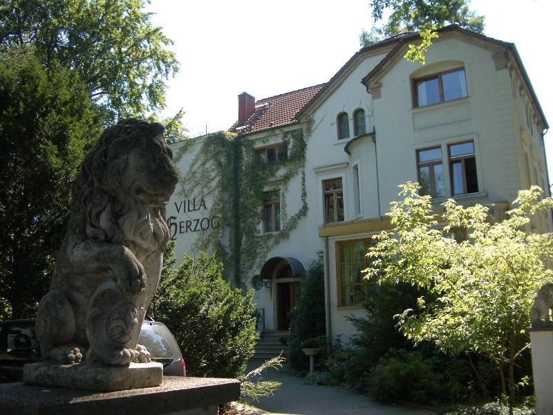 Hotel Villa Herzog - Genel