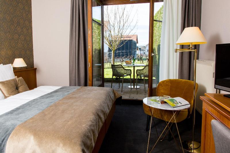 James Vignoble Hotel Eguisheim - Genel