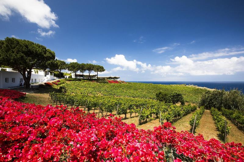 Capofaro Malvasia&Resort - Genel