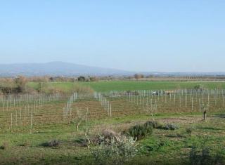 Il Marrugio