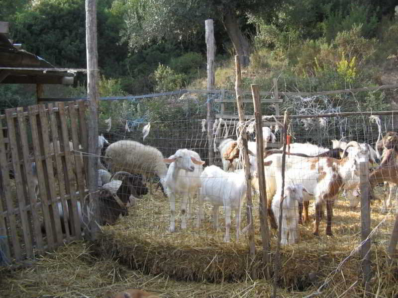 Agriturismo San Fele - Genel