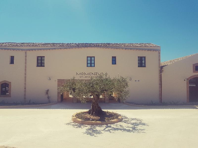 Momentum Wellness Bio Resort - Genel