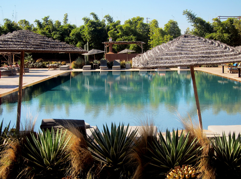 Fellah Hotel - Genel
