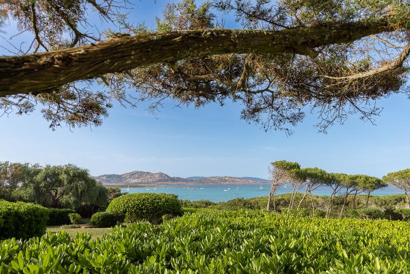 Unahotels Club Hotel Ancora Stintino - Genel