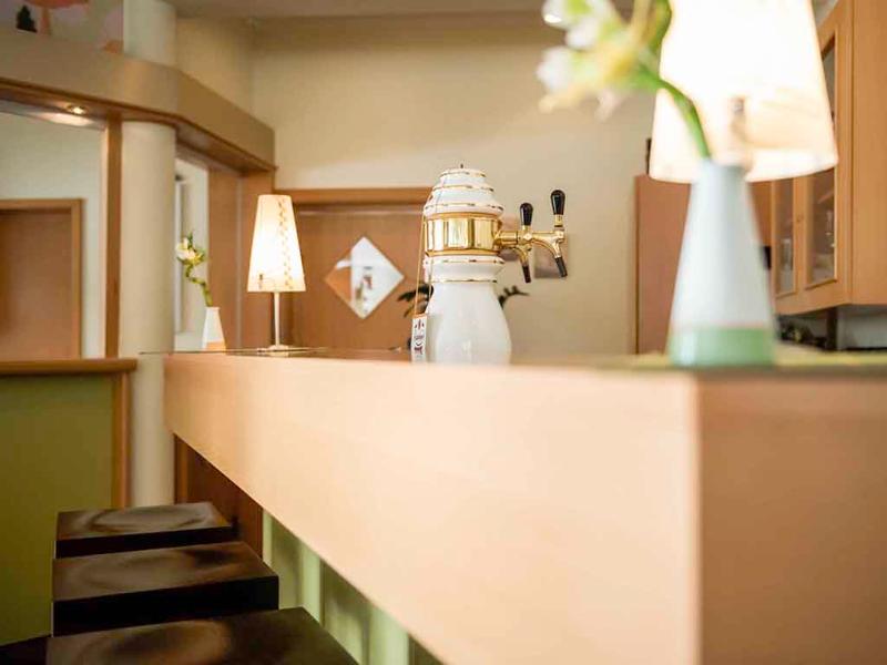 Ibis Kassel Melsungen - Aktivite