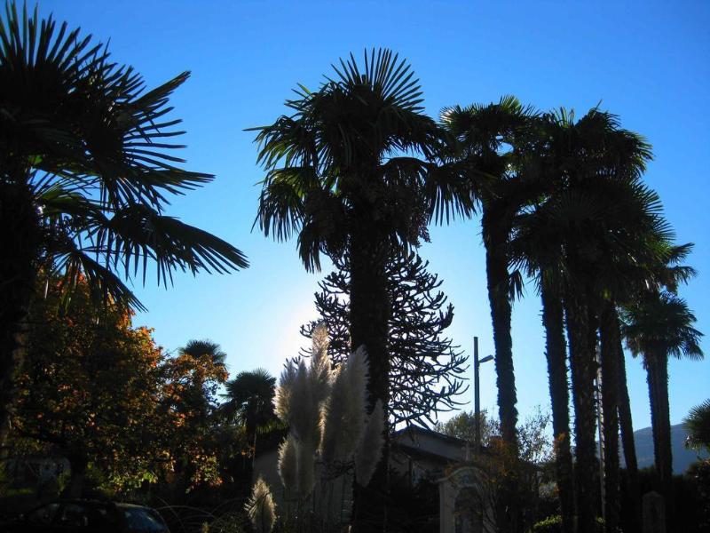 Albergo Gardenia - Genel