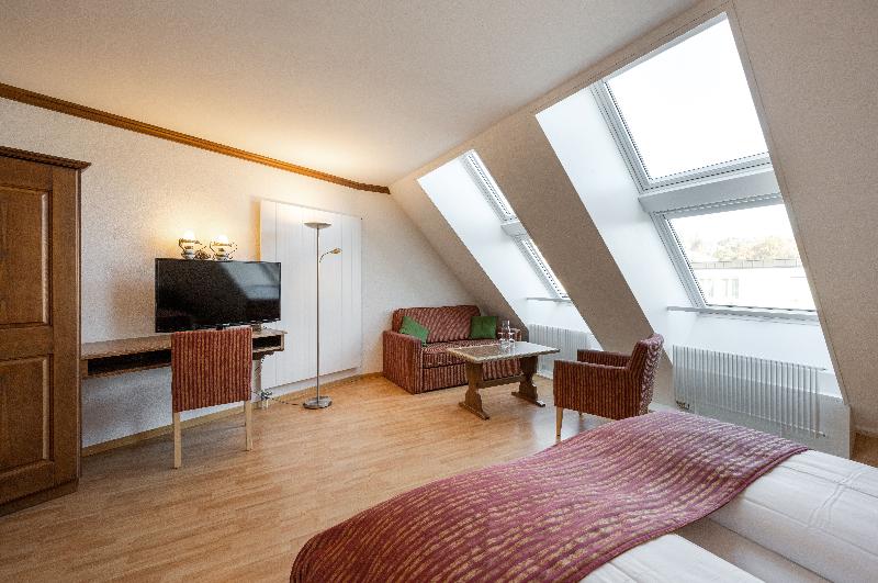 Hotel Ambassador Lucerne - Oda