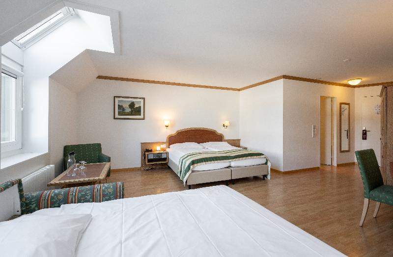 Hotel Ambassador Lucerne - Oda