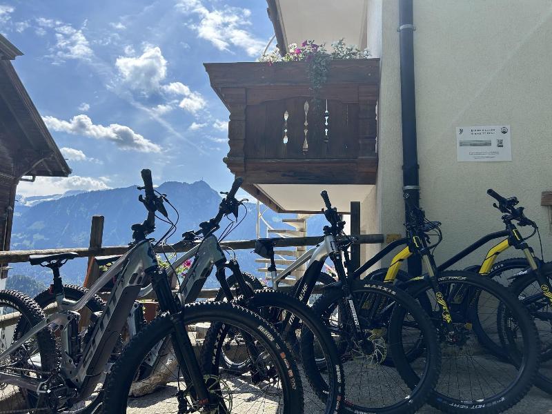Hotel Le Grand Chalet - Aktivite