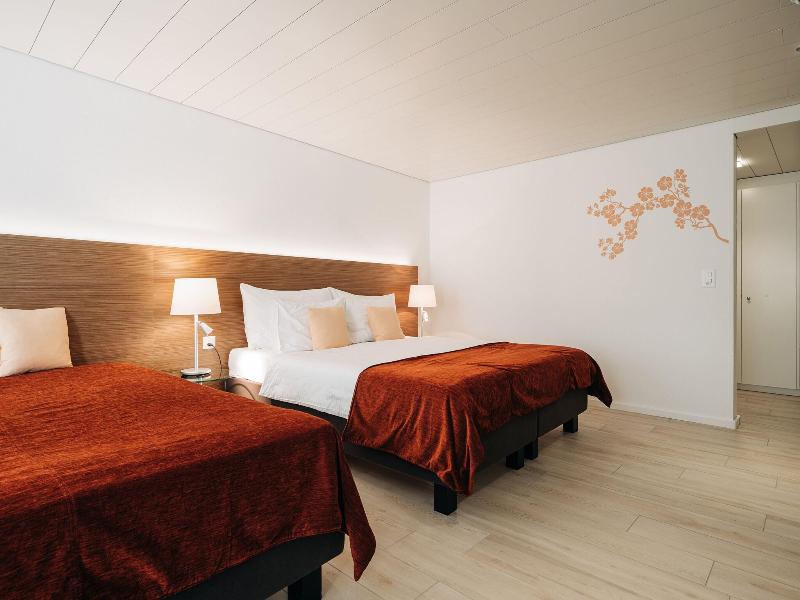 Hotel Krone - Oda