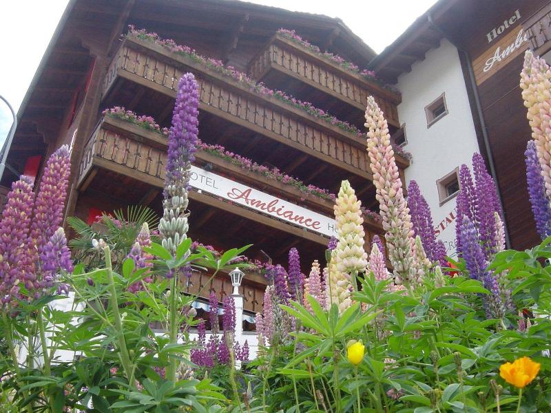 Hotel Ambiance Superior - Genel
