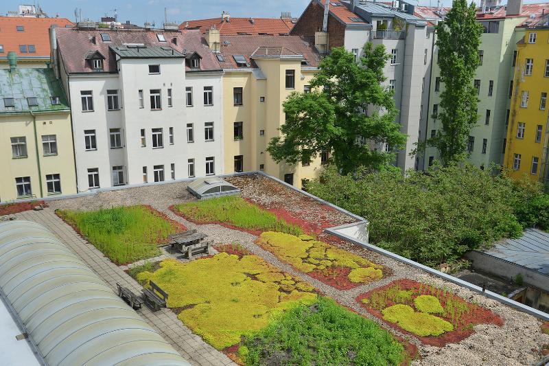 Prague Season - Genel
