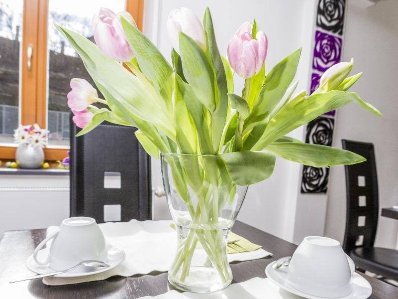 Hotel Herrmes - Genel