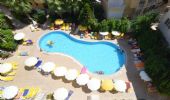 Citrus Plaza Hotel fotoÄŸrafÄ±