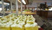 Citrus Plaza Hotel fotoÄŸrafÄ±
