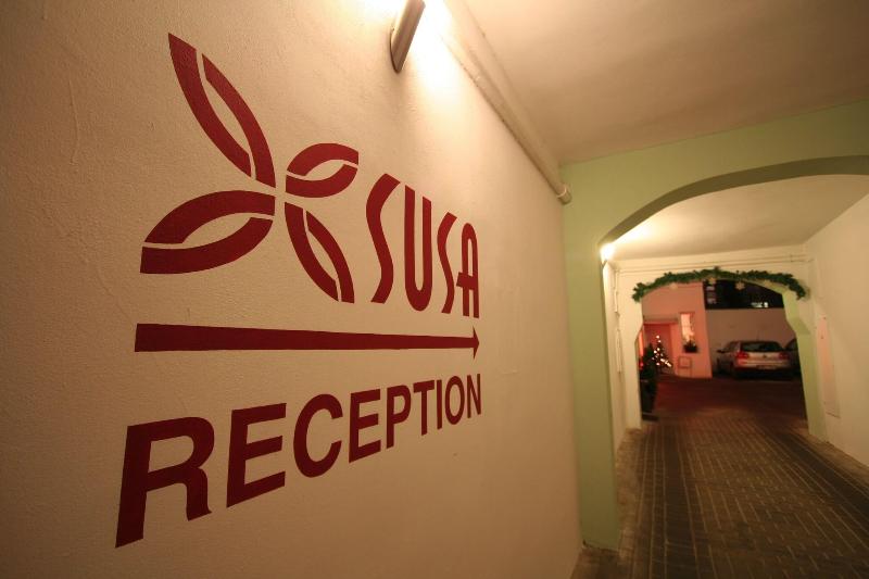 Aparthotel Susa - Teras