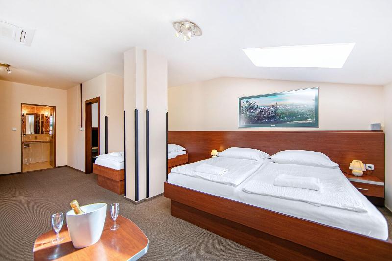 Hotel Palace  Pilsen - Toplantı