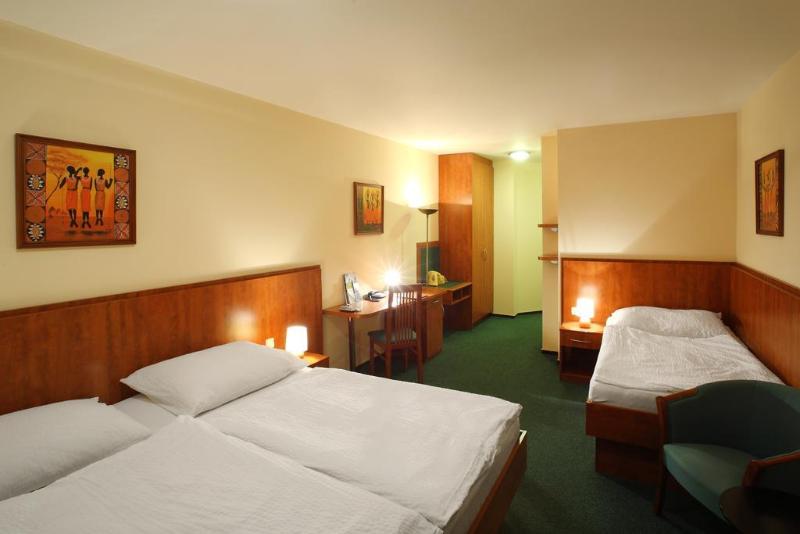 Hotel Palace  Pilsen - Genel