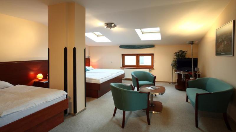 Hotel Palace  Pilsen - Genel