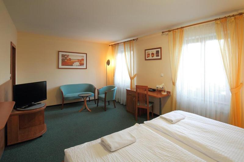 Hotel Palace  Pilsen - Oda