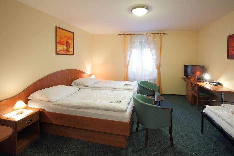 Hotel Palace  Pilsen - Oda