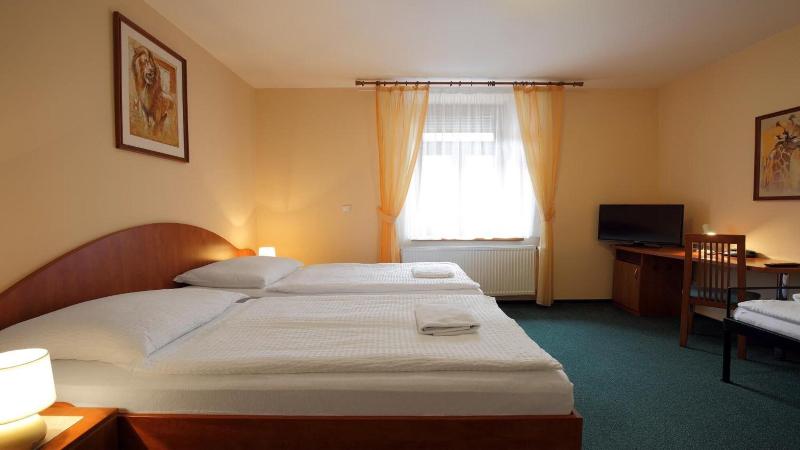 Hotel Palace  Pilsen - Oda