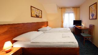 Hotel Palace  Pilsen fotoÄŸrafÄ±