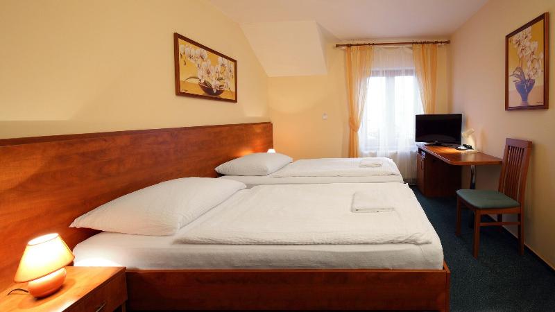 Hotel Palace  Pilsen - Oda