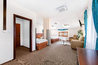 Hotel Palace  Pilsen fotoÄŸrafÄ±