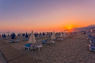 Lonicera City Hote