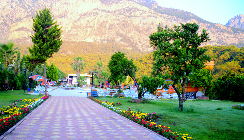 Magic Sun Hotel - Genel