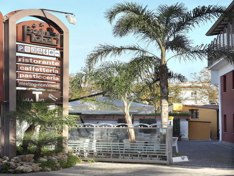 Business Hotel - Genel