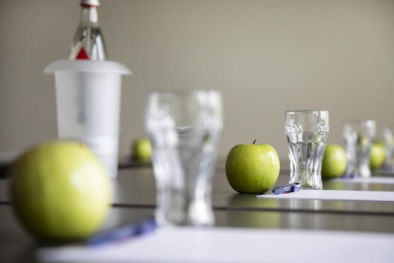 Rheinhotel Rheingarten - Toplantı