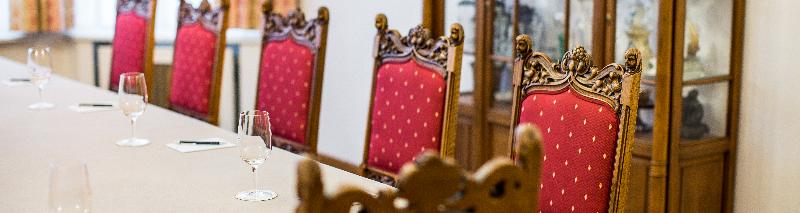 Hotel Schweizerhof Basel - Toplantı