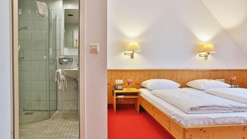 Hotel Restaurant Krokodil - Oda
