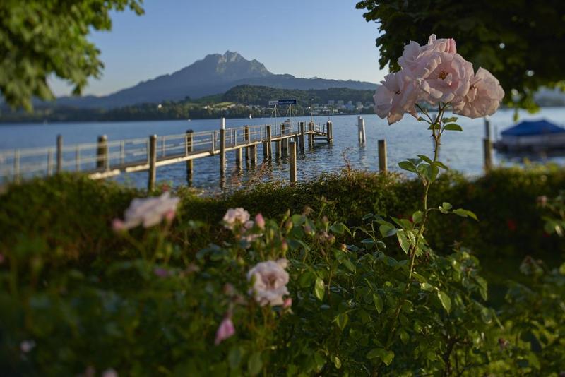 HERMITAGE Lake Lucerne - Genel